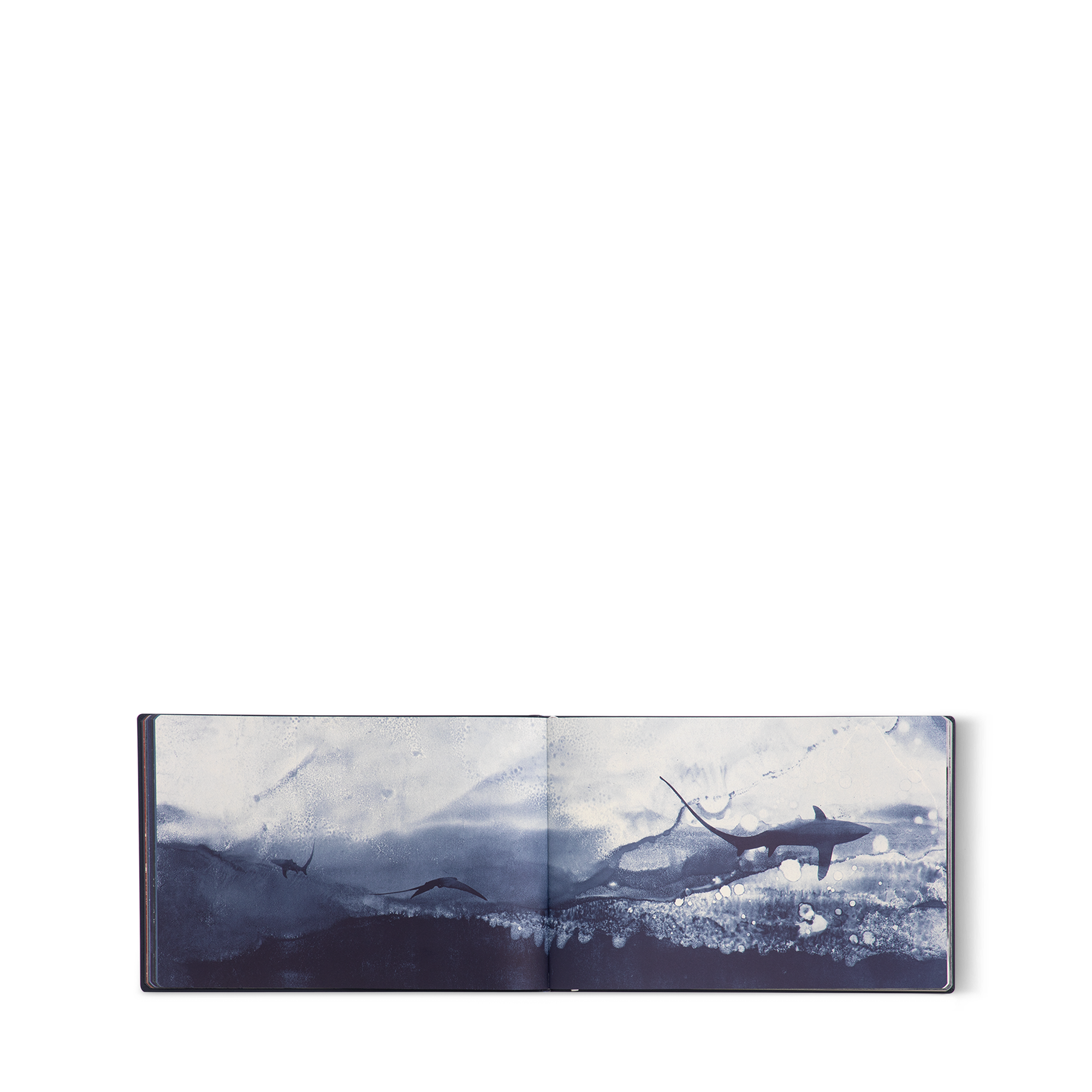 Travel Book Mar Mediterraneo, Artist