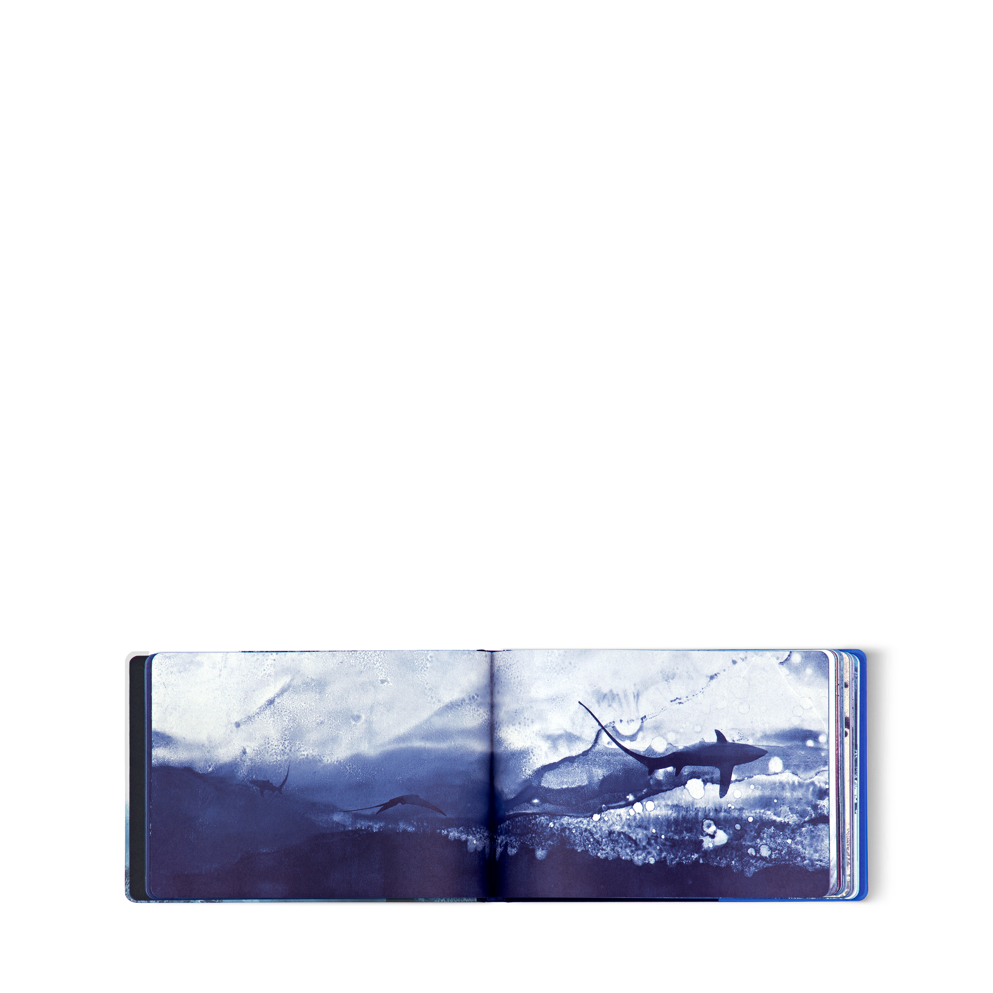 Travel Book Mar Mediterraneo di Aurore de Morinerie  Bauli, Viaggio e Casa Libri Travel Book | LOUIS VUITTON (Zoom prodotto)